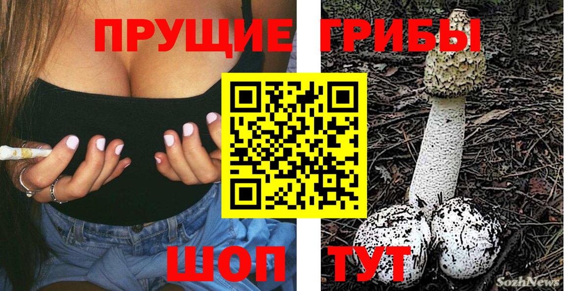 Псилоцибиновые грибы мицелий  что такое наркотик  Воскресенск  Вход с VPN 